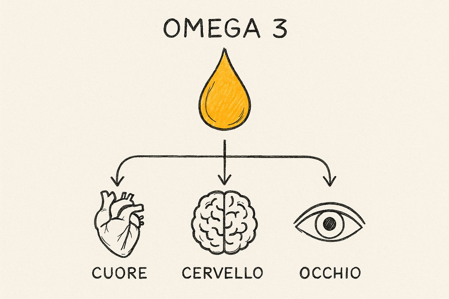 Infographic about omega 3 a cosa serve