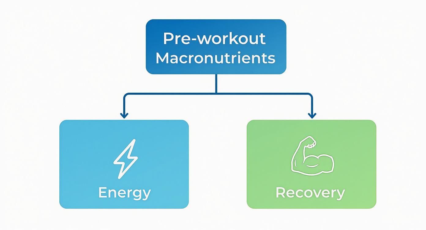 Infographic about cosa mangiare prima dell'allenamento