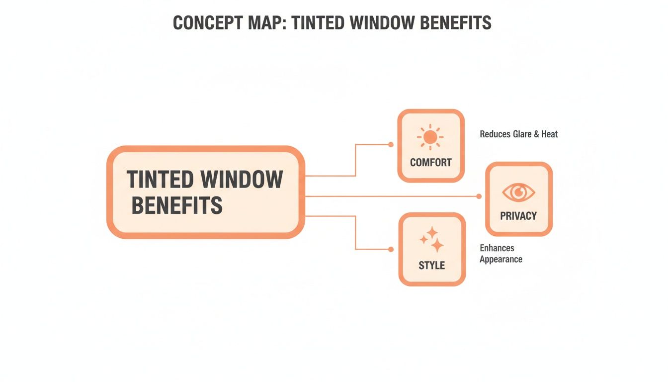 Concept map detailing the benefits of tinted windows, including comfort, privacy, and style with specific advantages.