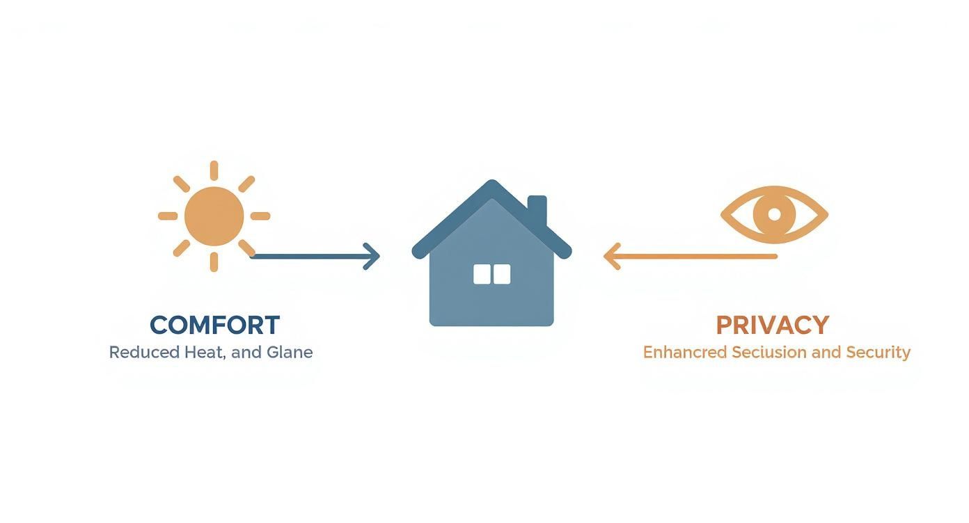 Infographic about home window tint
