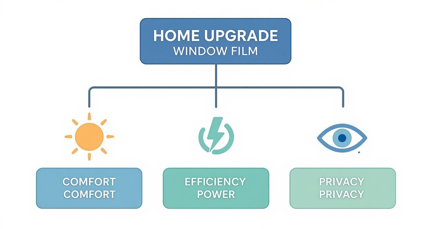 Diagram illustrating home upgrade window film benefits: comfort, efficiency, and privacy, with corresponding icons.