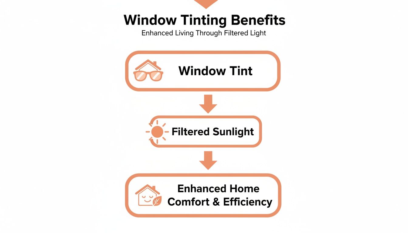 Flowchart illustrating window tinting benefits, showing how tint leads to filtered sunlight for enhanced home comfort and efficiency.
