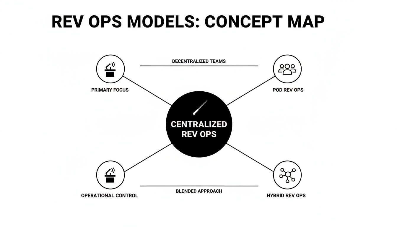 Infographic about revenue operations team structure