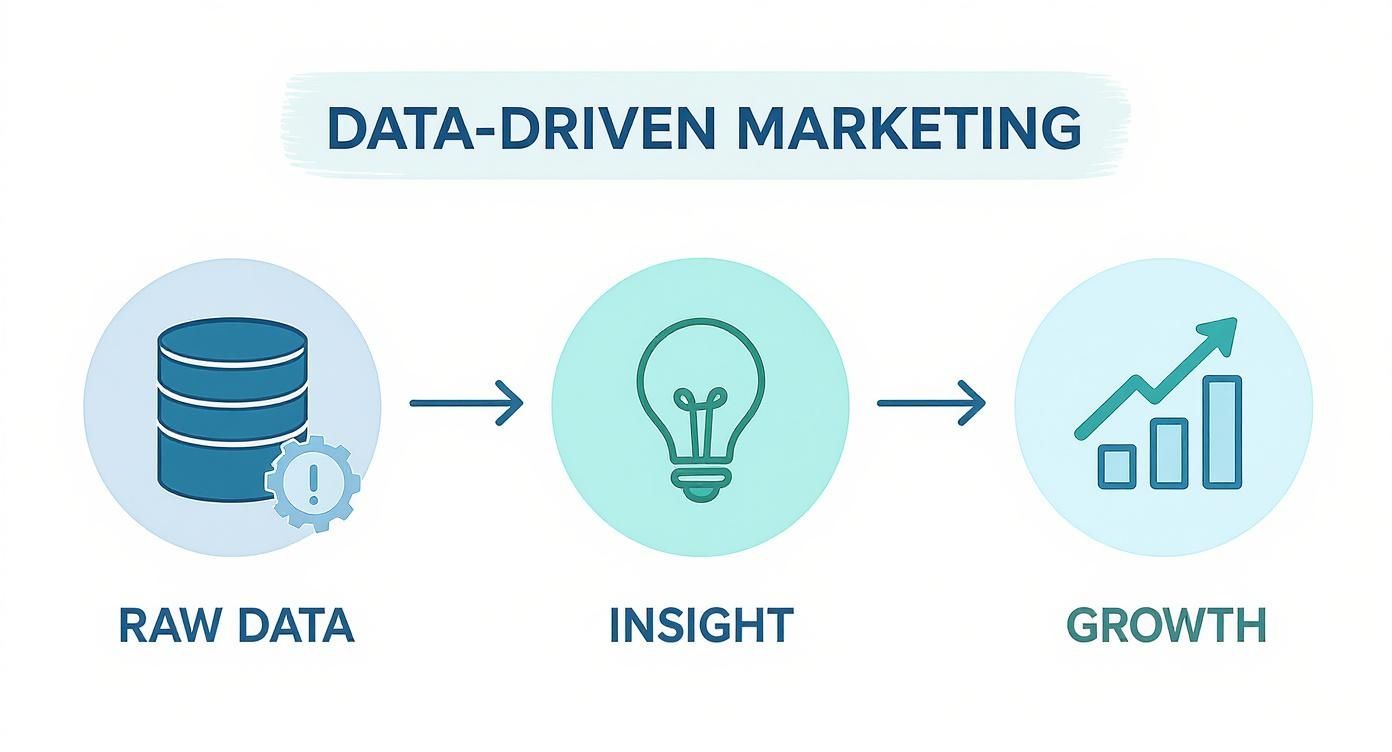 Infographic about data-driven marketing solutions