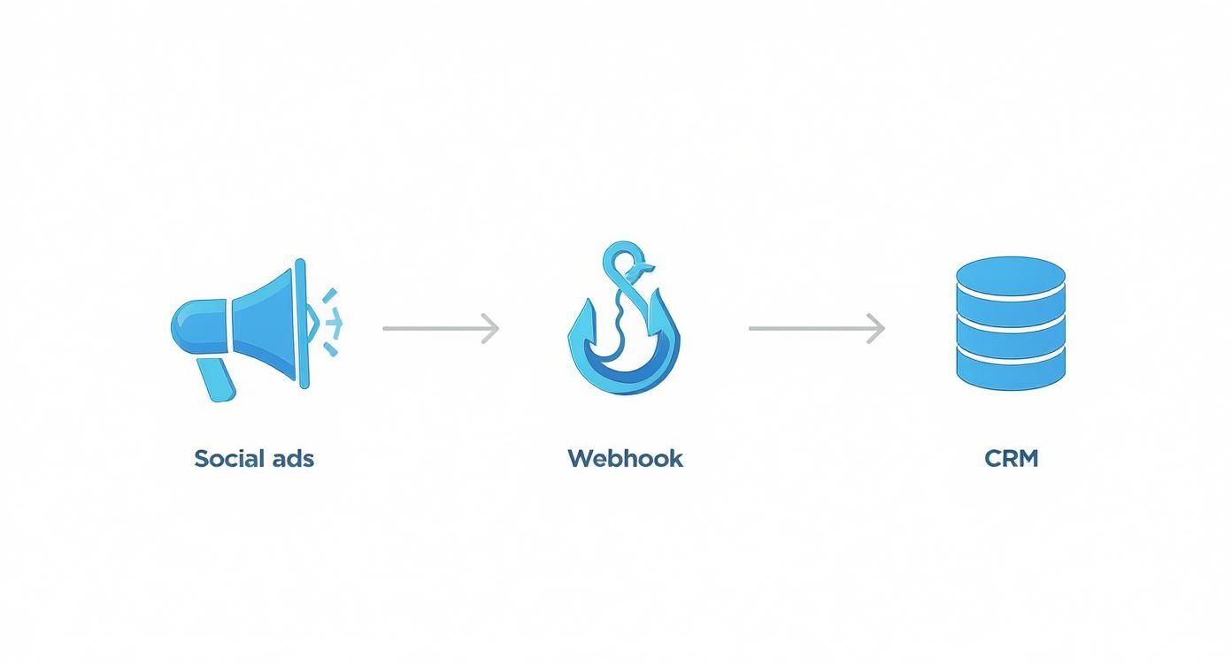 Infographic about marketing automation and social media