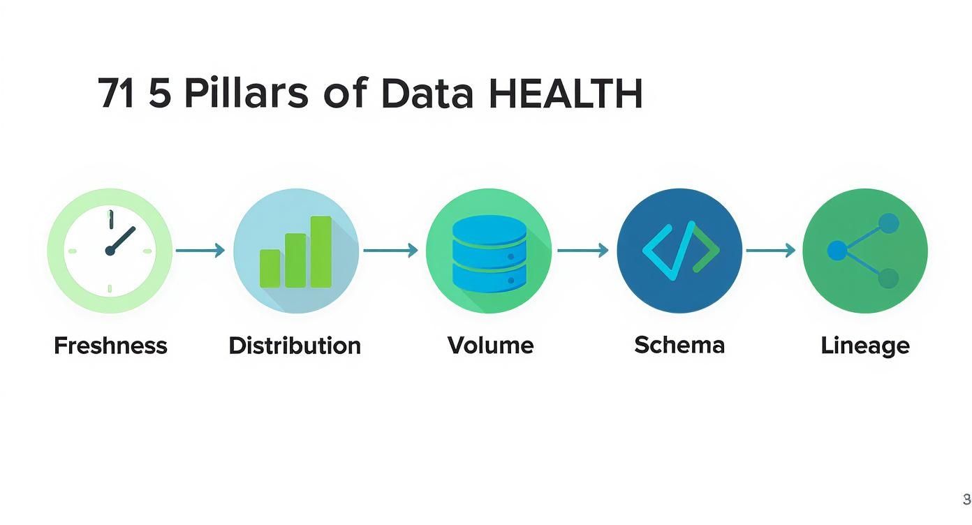 Infographic showing the 5 pillars of data health: freshness, distribution, volume, schema, and lineage.