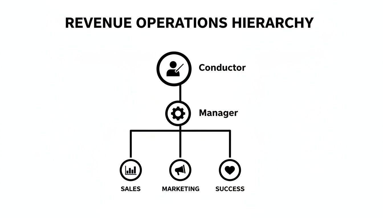 Revenue Operations Hierarchy chart showing Conductor, Manager, Sales, Marketing, and Success roles.