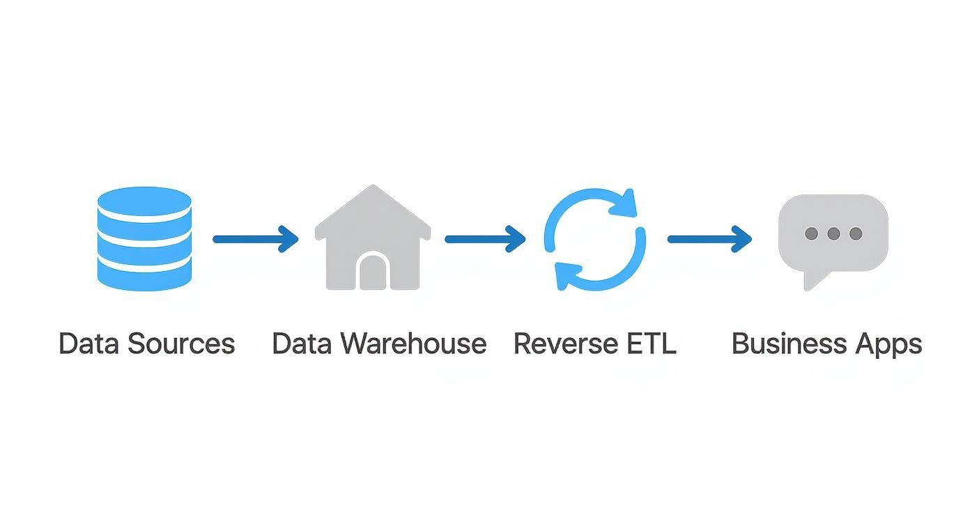 Diagram illustrating data flow from sources to a data warehouse, through Reverse ETL, to business applications.