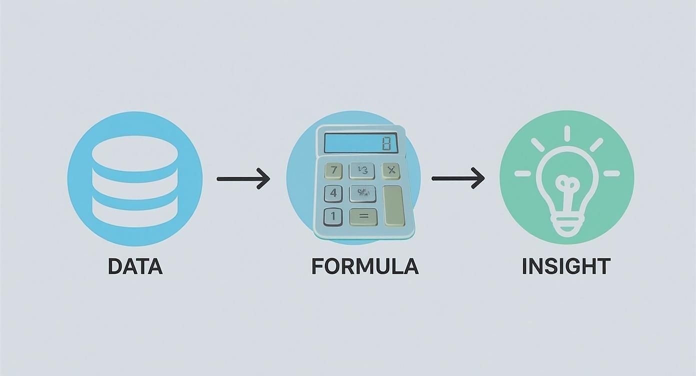 Data to formula to insight workflow diagram showing database, calculator, and lightbulb icons representing analytics process