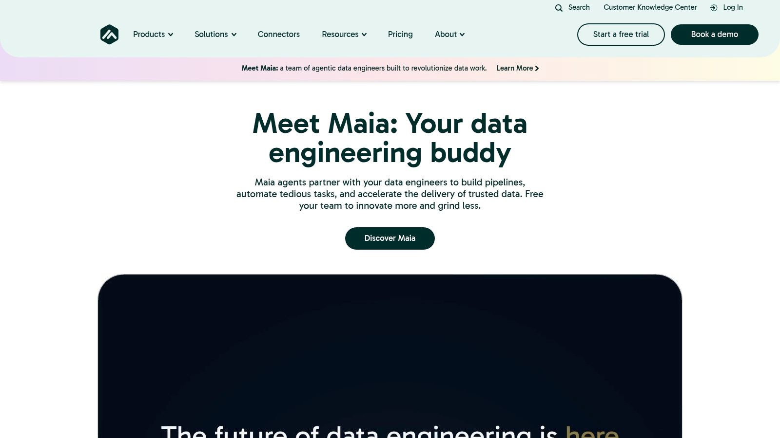 Matillion (Data Productivity Cloud)