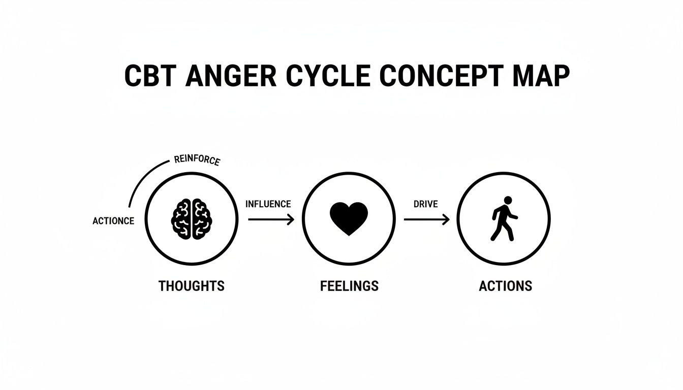 CBT anger cycle concept map showing thoughts (brain), feelings (heart), and actions (person). Actions reinforce thoughts.
