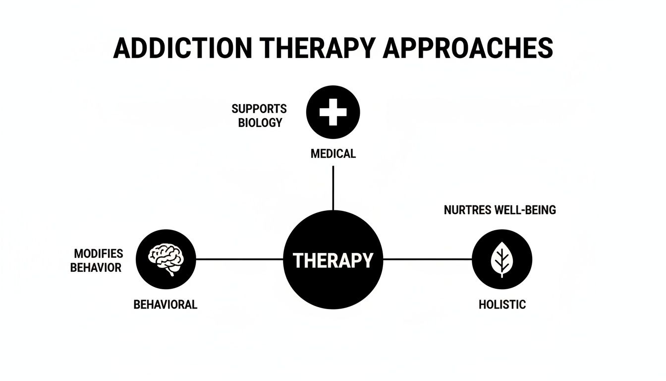 Diagram showing addiction therapy approaches: Medical, Behavioral, and Holistic, with their core principles.
