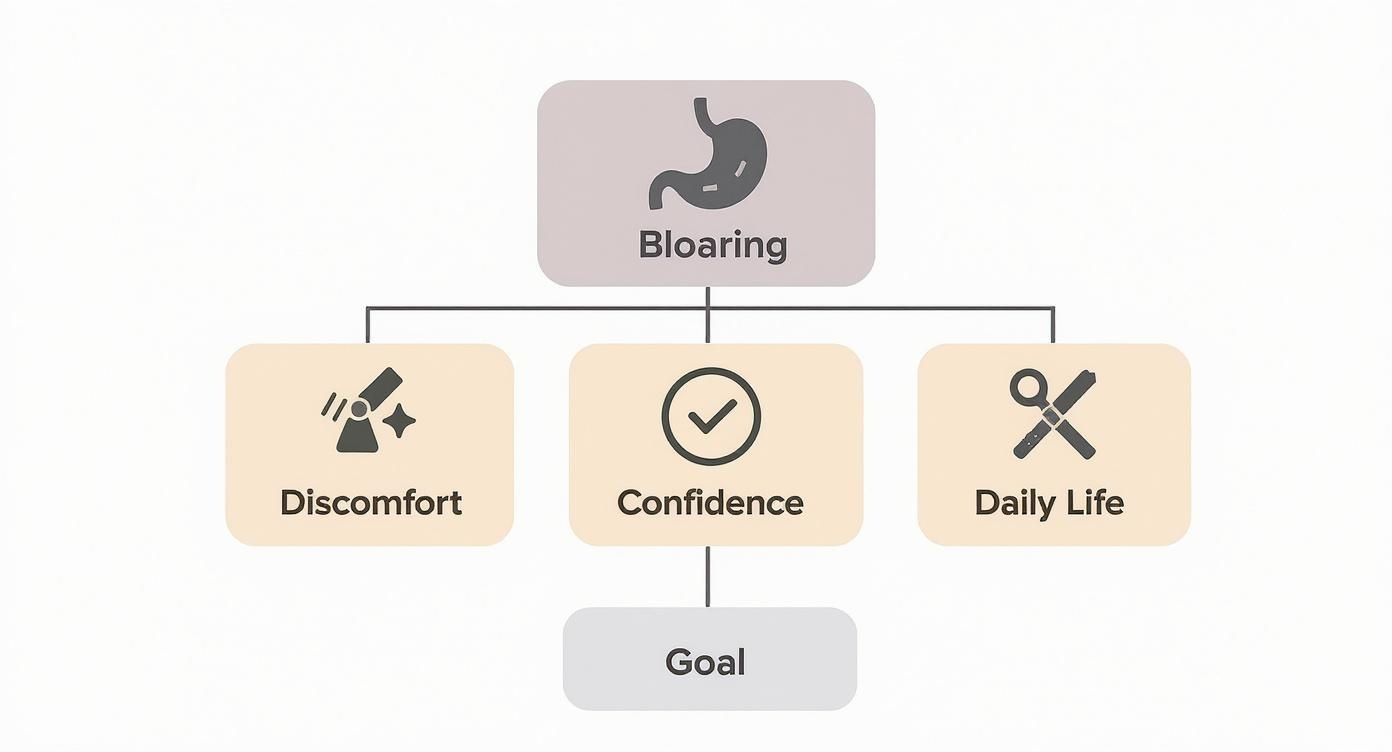 Infographic about why am i always bloated