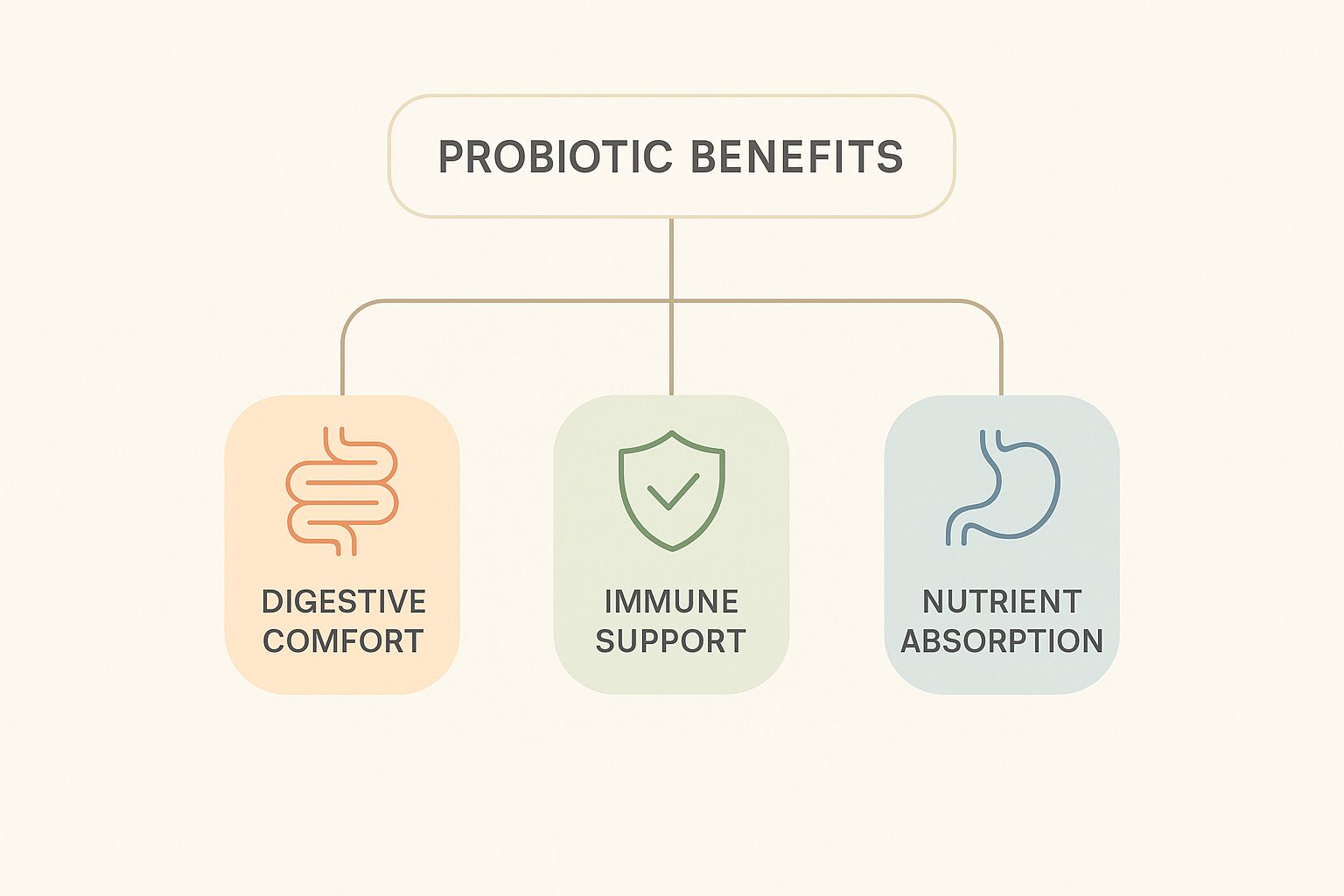 Infographic about best probiotics for digestive health