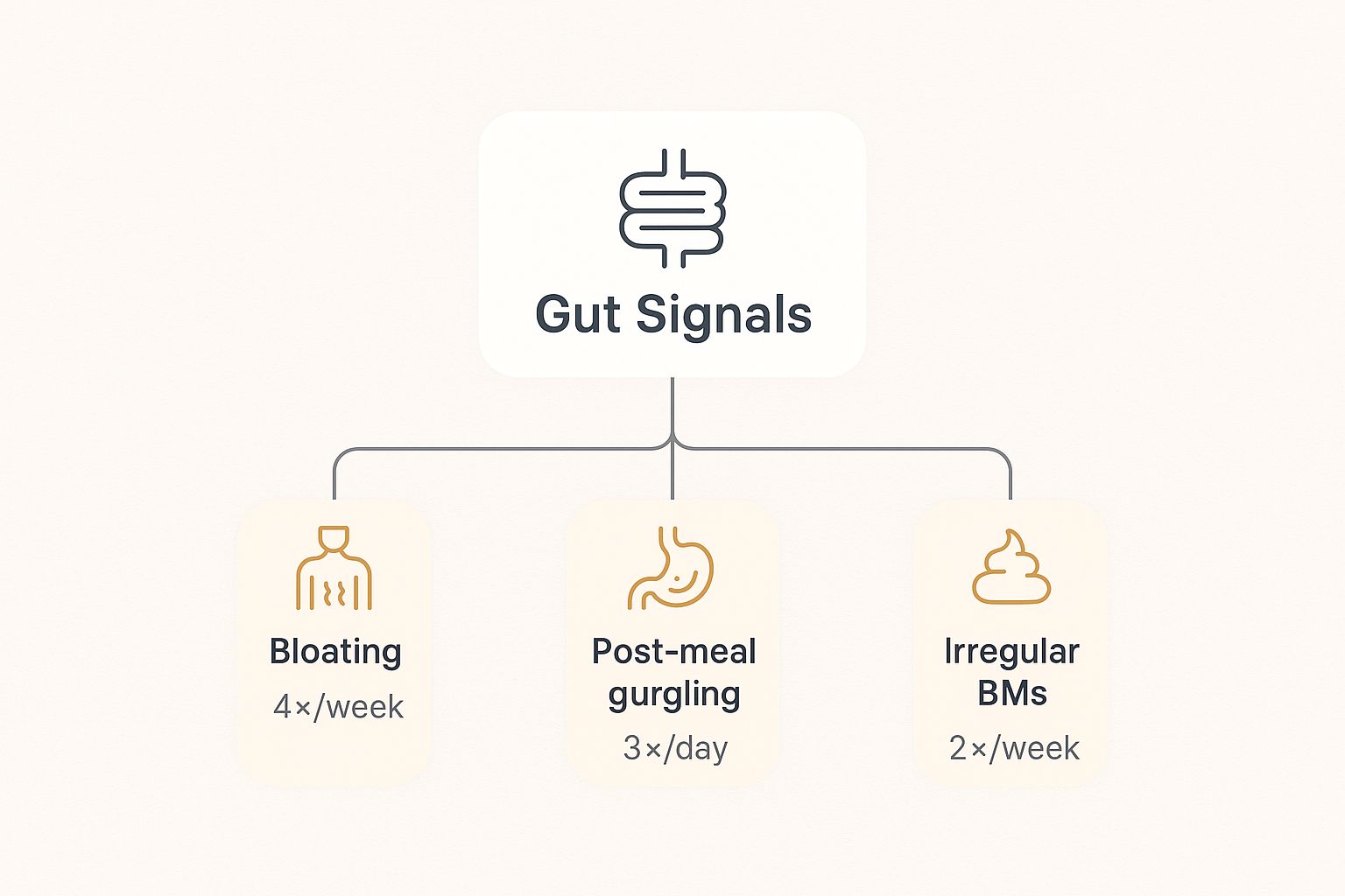 Infographic about benefits of prebiotics and probiotics