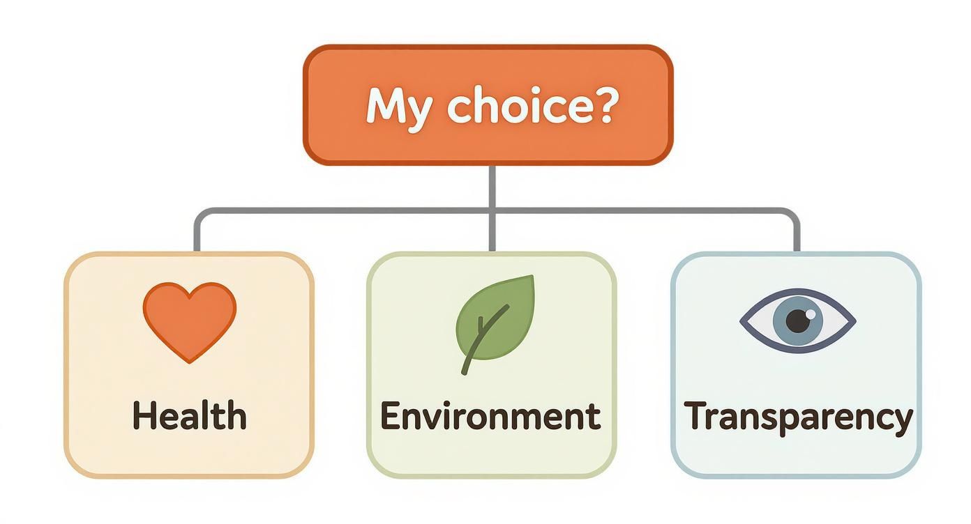Infographic about what are non gmo foods