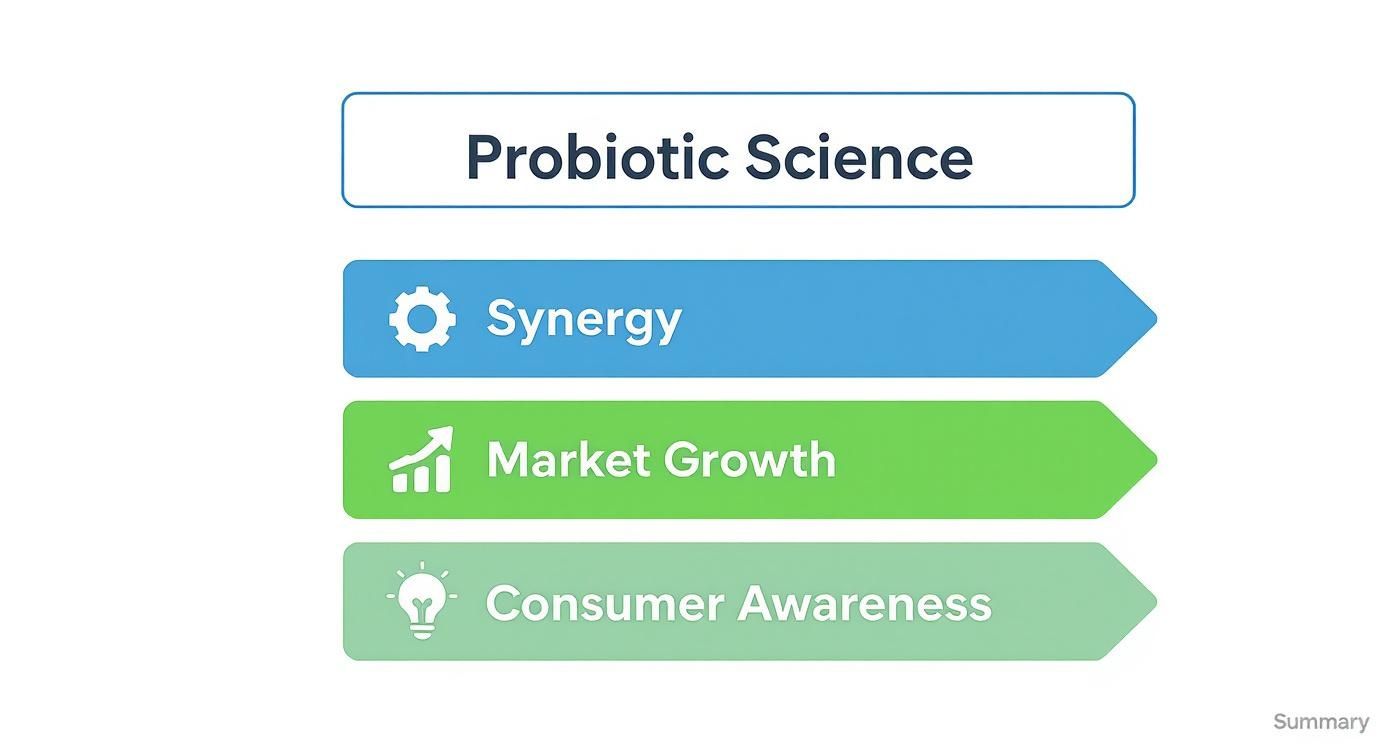 Infographic about probiotics with multiple strains