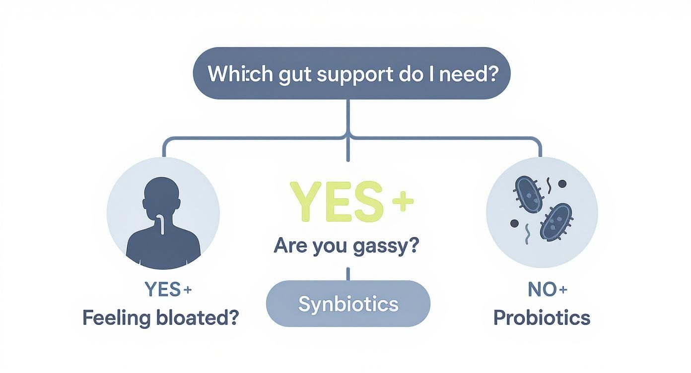Infographic decision tree to help users decide if they need prebiotics, probiotics, or both based on bloating and gas symptoms.