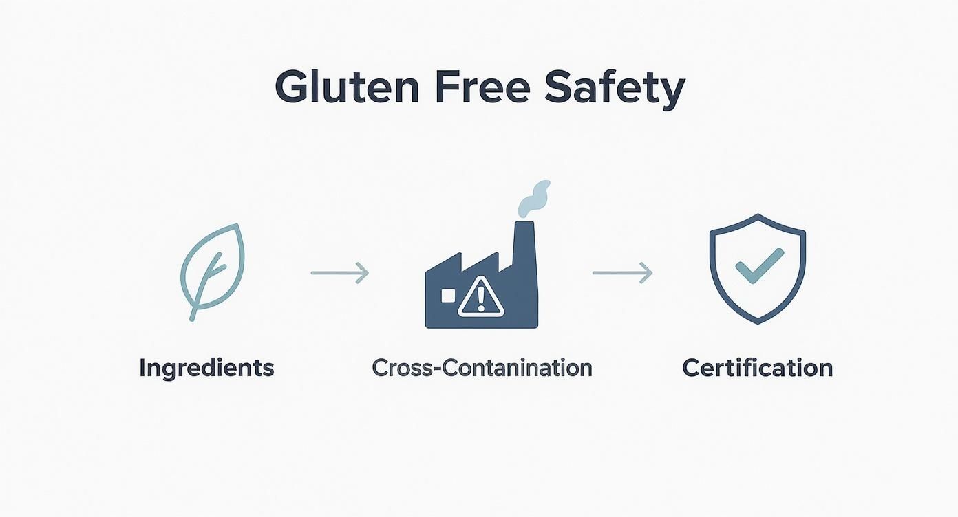Infographic about gluten free supplement
