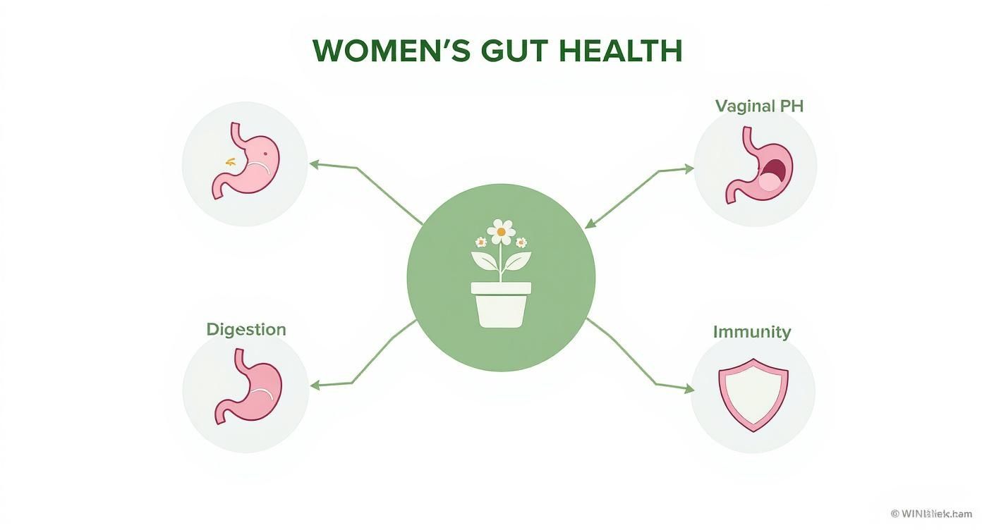 Diagram illustrating women's gut health connections to digestion, vaginal pH, and immunity, centered around a plant.