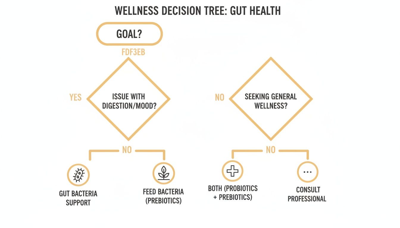 A decision tree flowchart for gut health, guiding choices based on digestion, mood, and wellness goals.