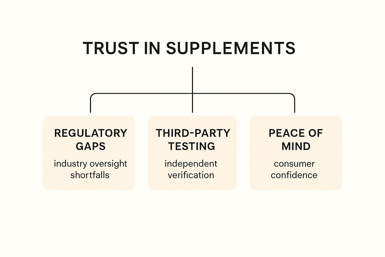 Infographic about best third party tested supplements