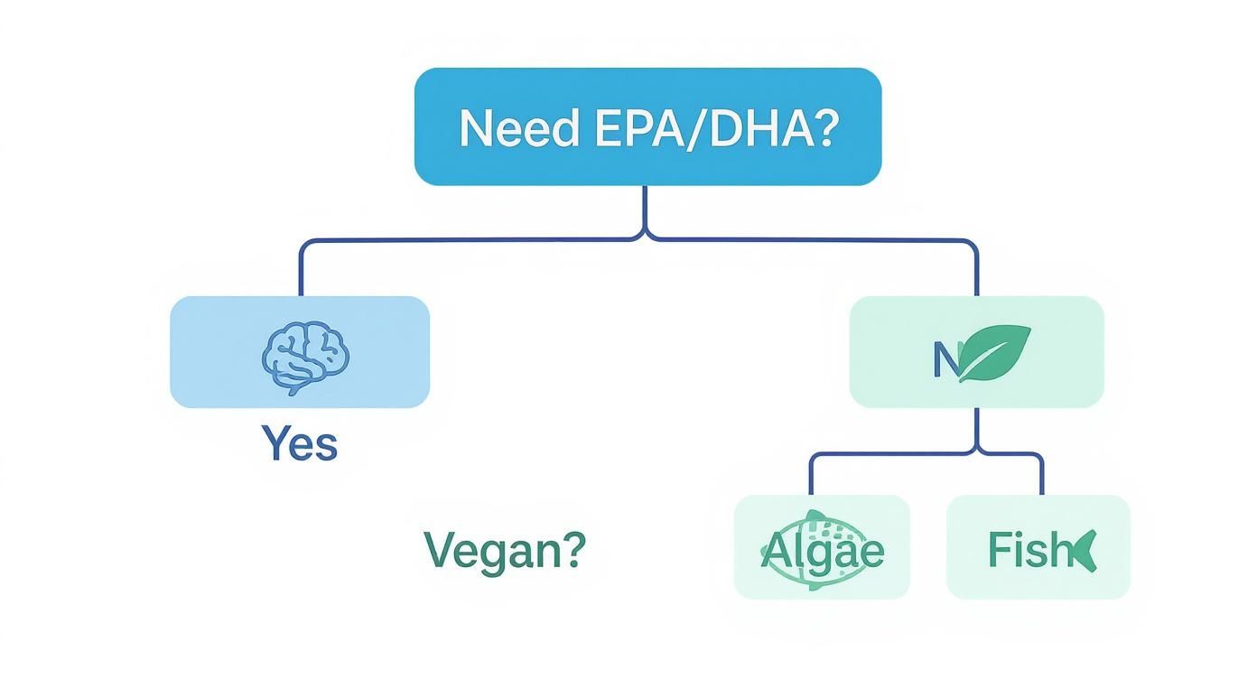 Decision flowchart showing EPA DHA supplement options including vegan, algae, and fish sources
