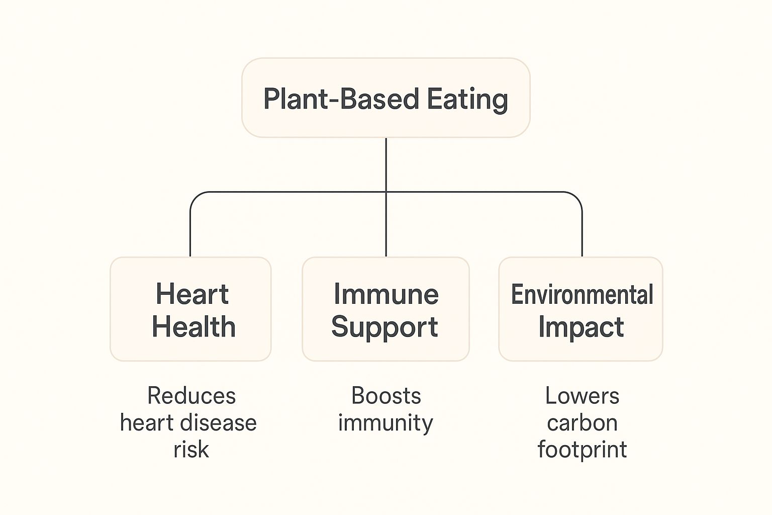 Infographic about plant based nutrition guide