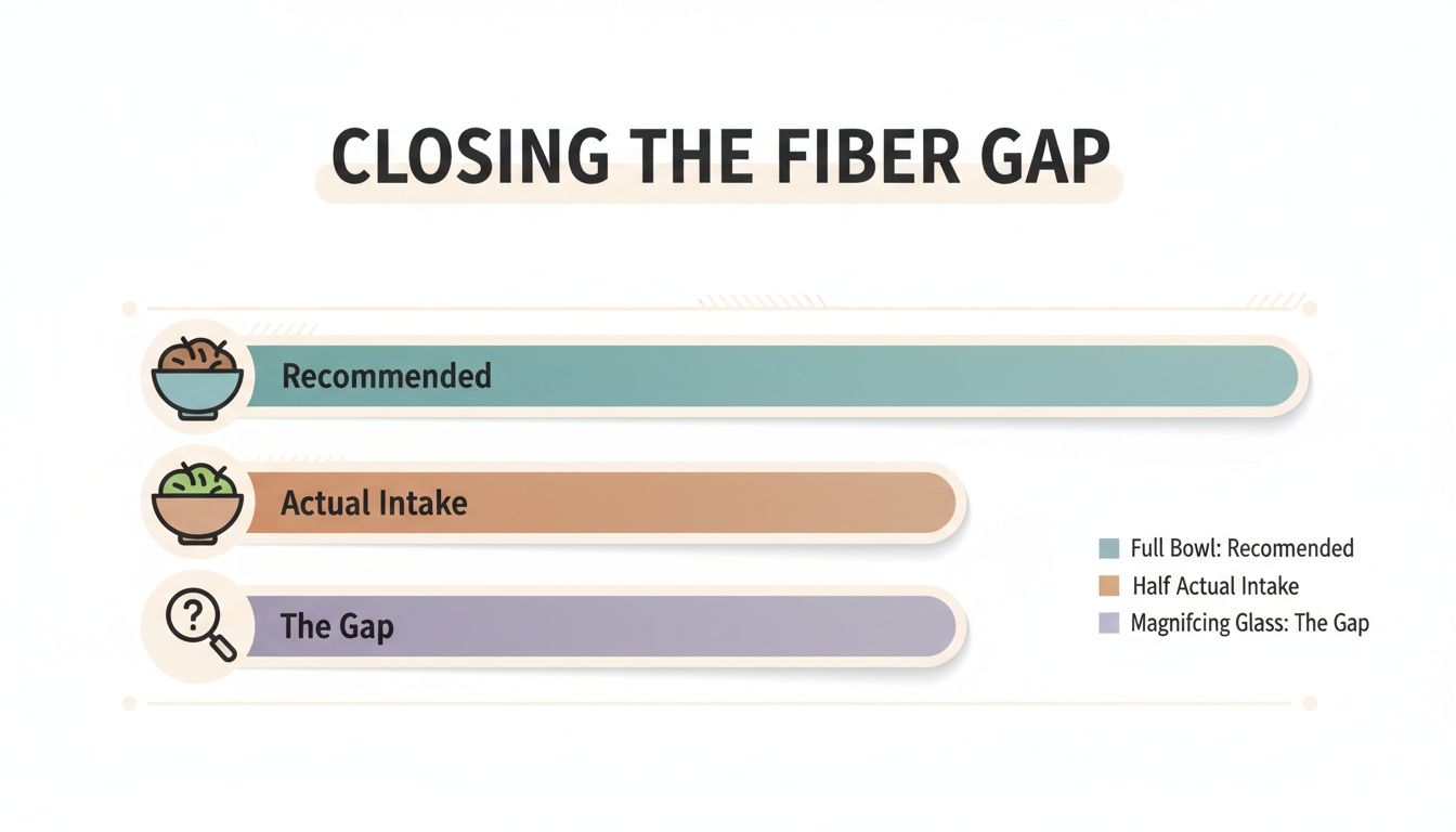Infographic illustrating the fiber gap with bars for recommended intake, actual intake, and the resulting gap.