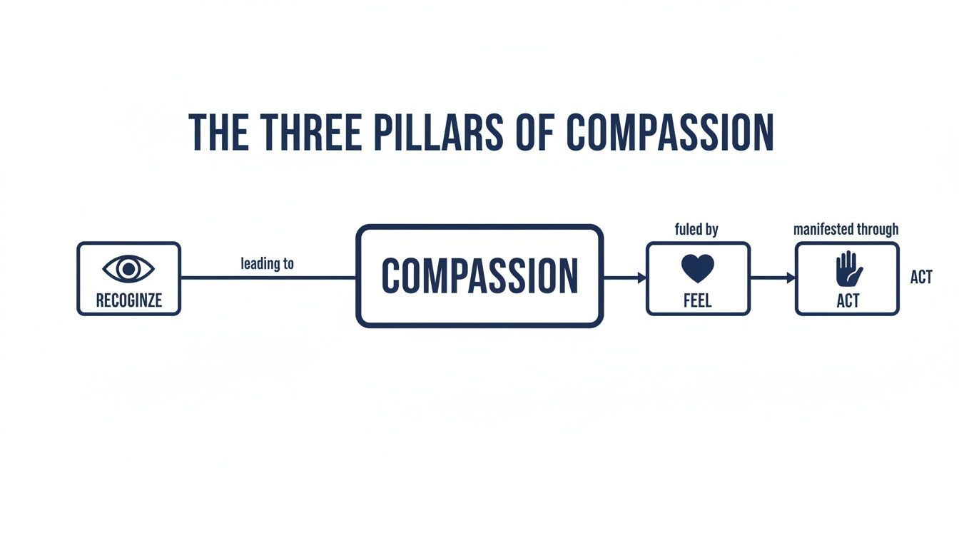 A flowchart illustrates the three pillars of compassion: Recognize, Feel, and Act.