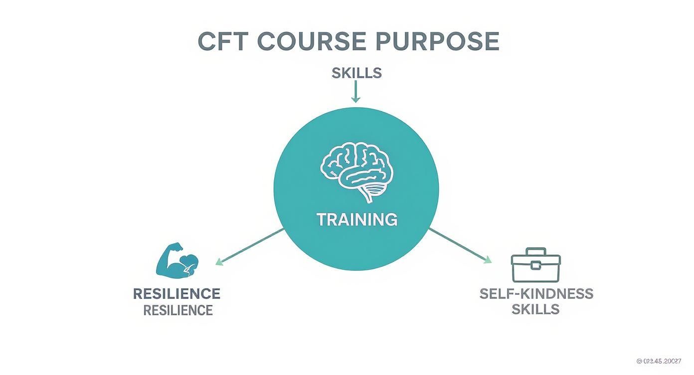 Diagram illustrating the CFT Course Purpose: Training for Skills, Resilience, and Self-Kindness.