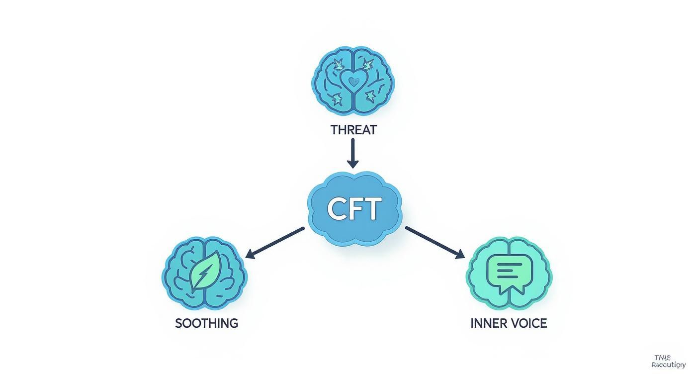 Diagram explaining Compassion Focused Therapy (CFT), showing its relationship with threat, soothing, and inner voice.