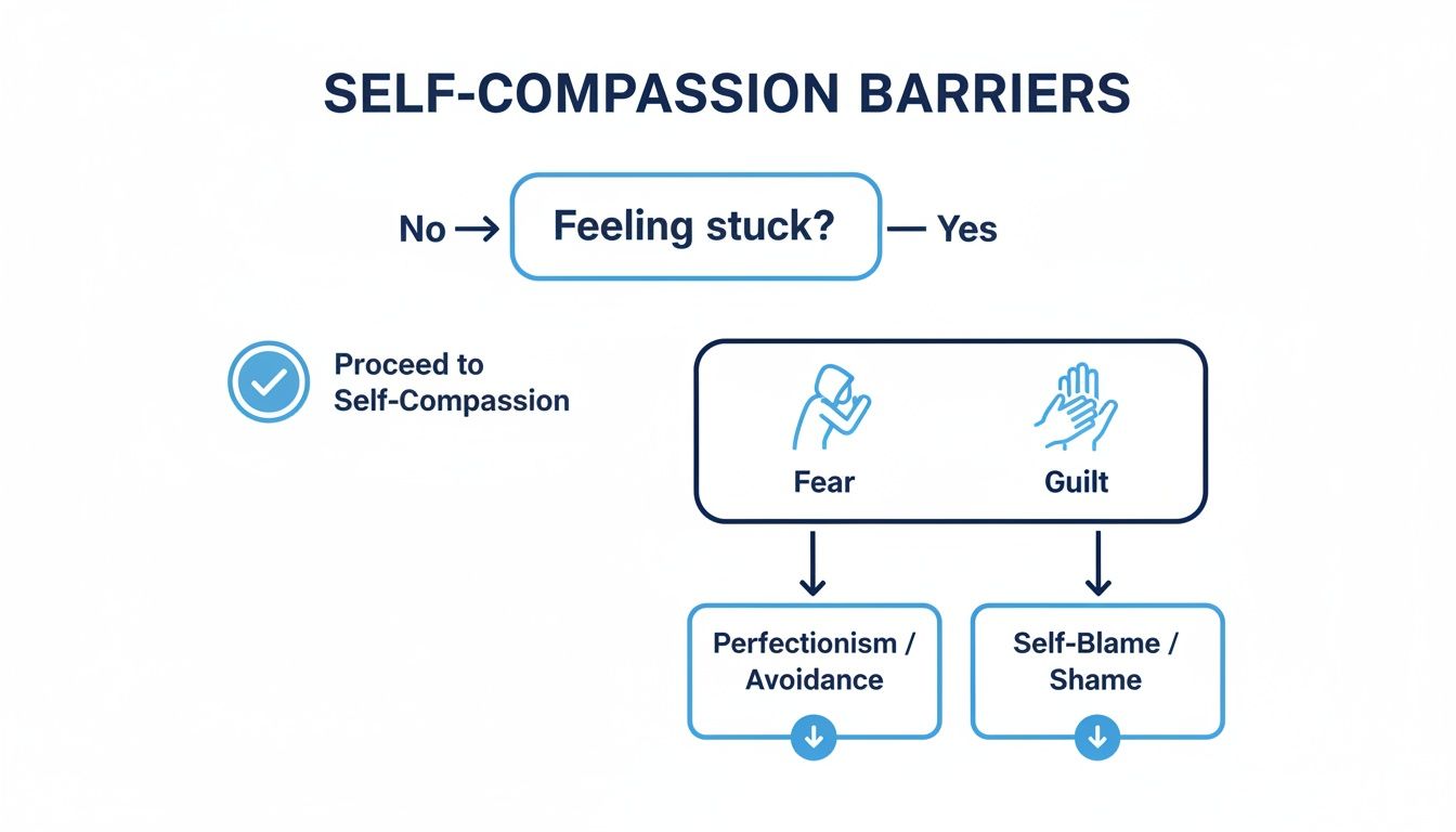 A flowchart outlines self-compassion barriers, detailing paths from feeling stuck to fear, guilt, perfectionism, avoidance, and self-blame.