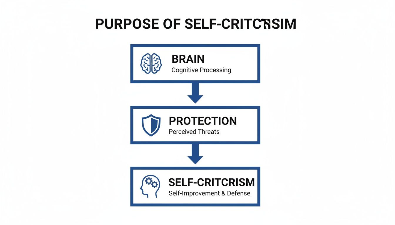 A flowchart illustrating the purpose of self-criticism, linking brain processing to protection and self-improvement.