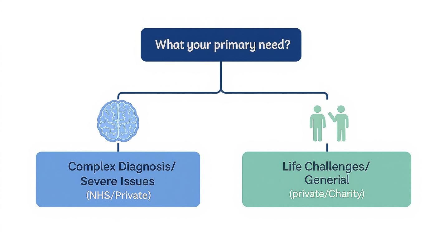 Flowchart outlining primary needs: complex diagnosis/severe issues (NHS/Private) or life challenges (private/Charity).