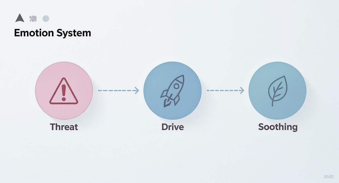 Infographic about compassion focused therapy training