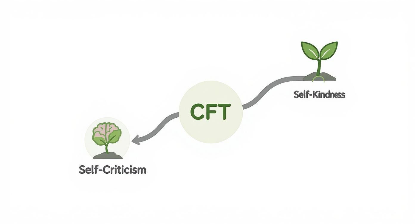 Infographic about what is compassion focused therapy