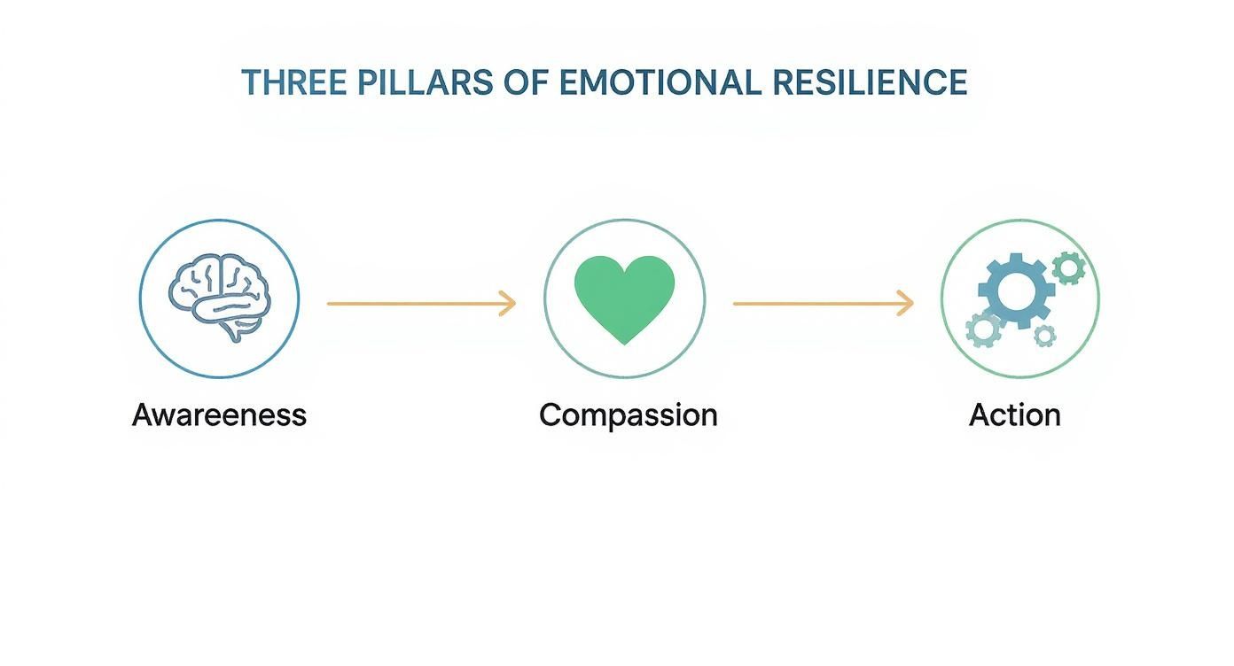 Three pillars of emotional resilience framework showing awareness brain icon, compassion heart icon, and action gears icon