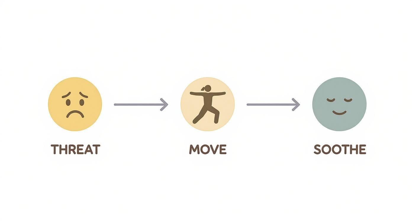 Diagram illustrating a process from a sad emoji representing 'THREAT' through a person moving representing 'MOVE' to a calm emoji representing 'SOOTHE'.
