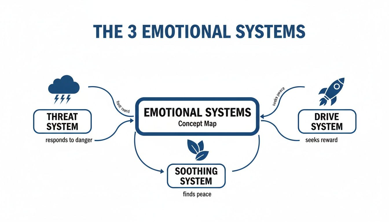 A concept map illustrating the three emotional systems: Threat, Drive, and Soothing systems.