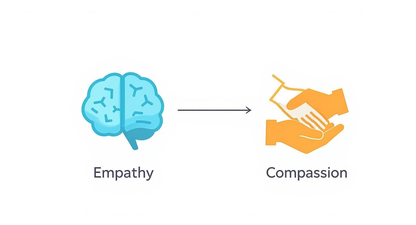 Visual diagram showing empathy represented by brain leading to compassion illustrated by helping hands