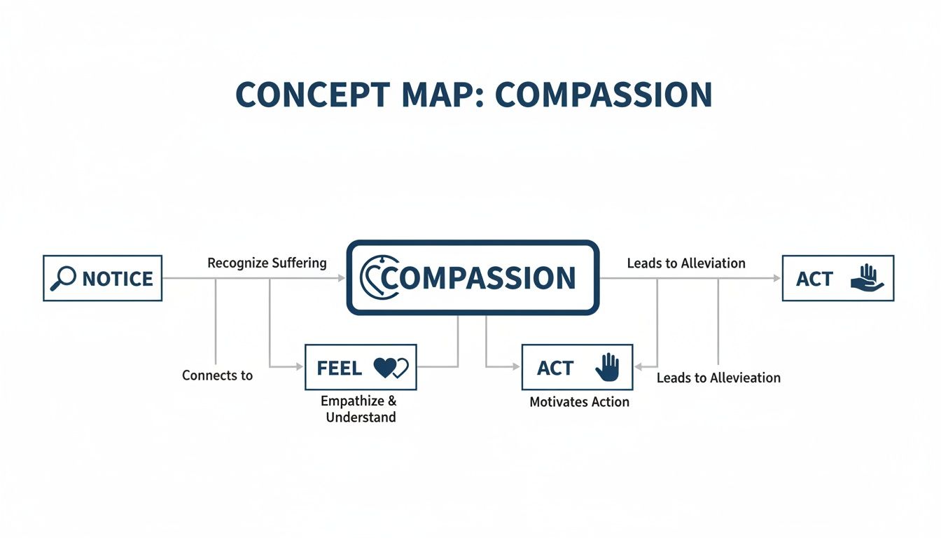 A concept map illustrating compassion, showing connections between noticing, feeling, acting, and alleviation.