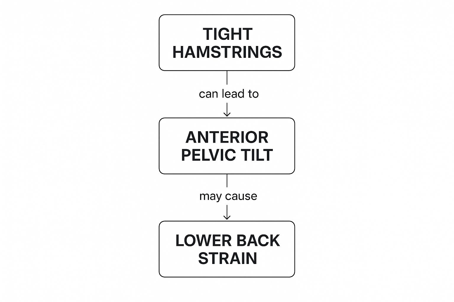 Infographic about lower back pain and tight hamstrings