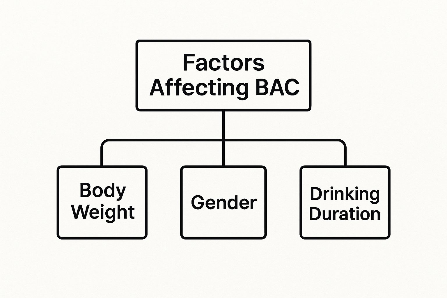 Factors affecting BAC infographic highlighting body weight, gender, and drinking duration as key elements influencing blood alcohol concentration.