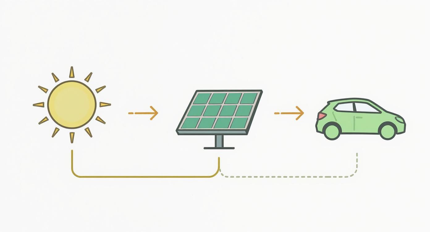 Infographic about opladen op zonne energie