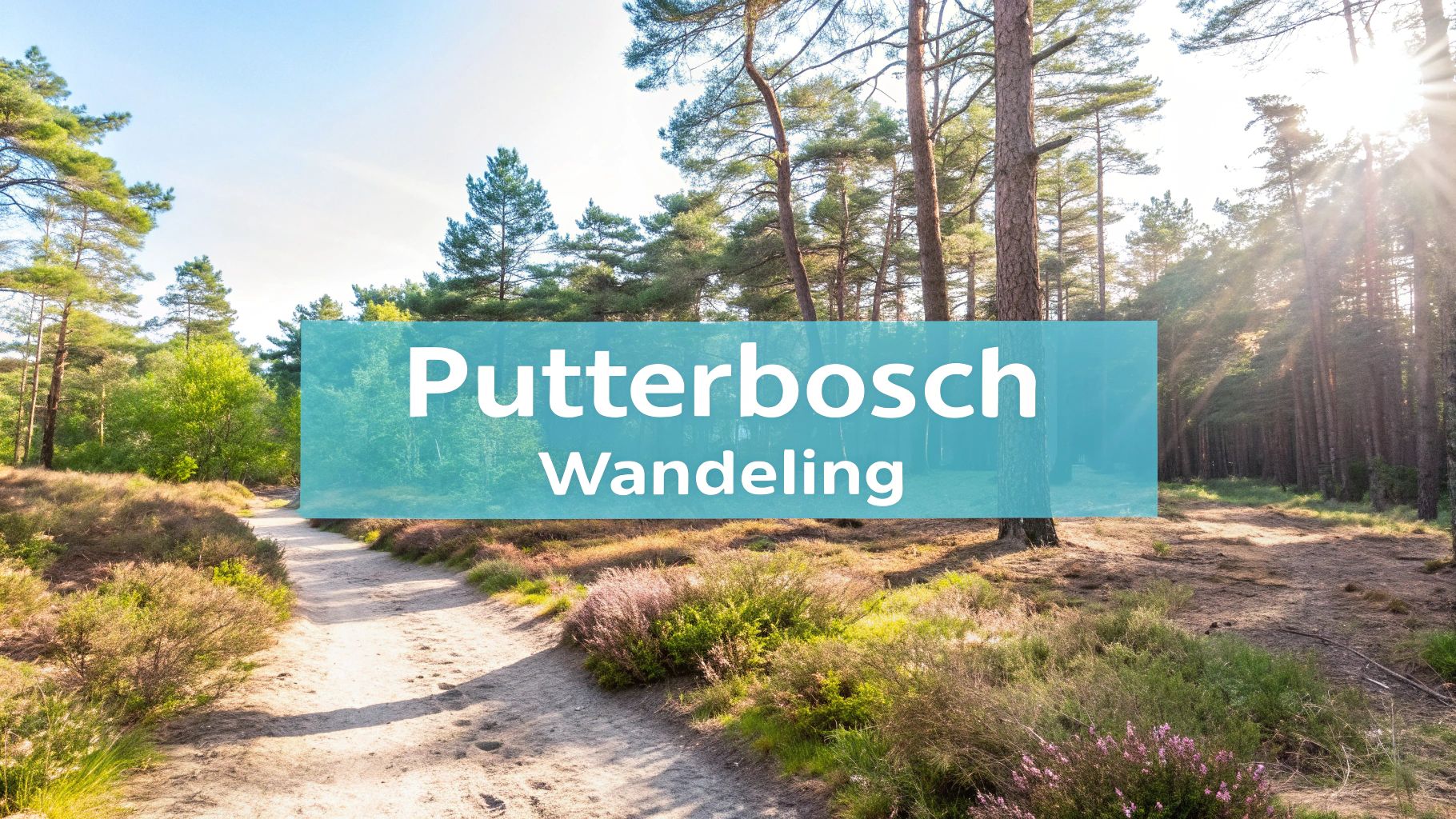 Wandelen in het Putterbosch