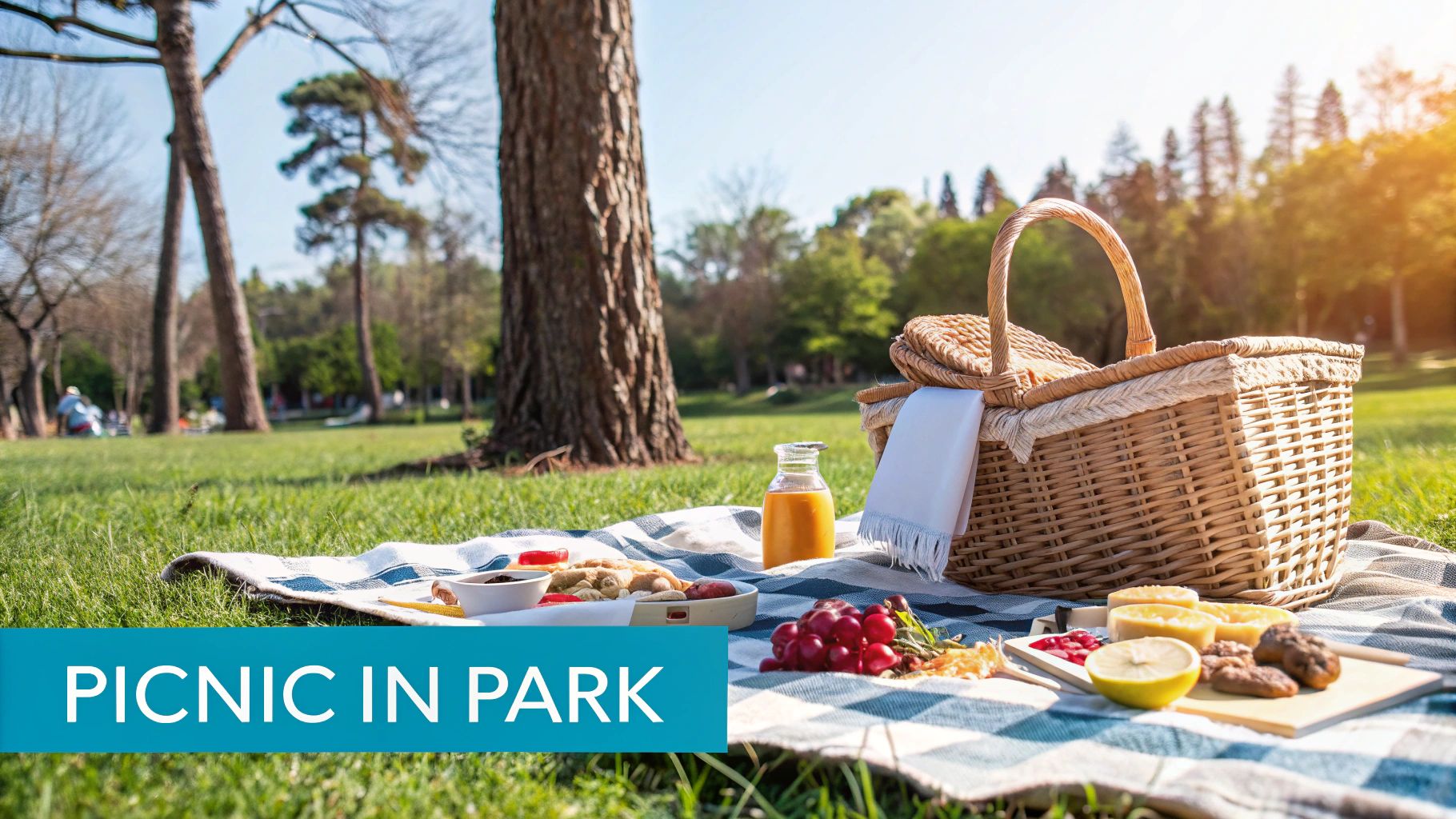 Picknick in het park