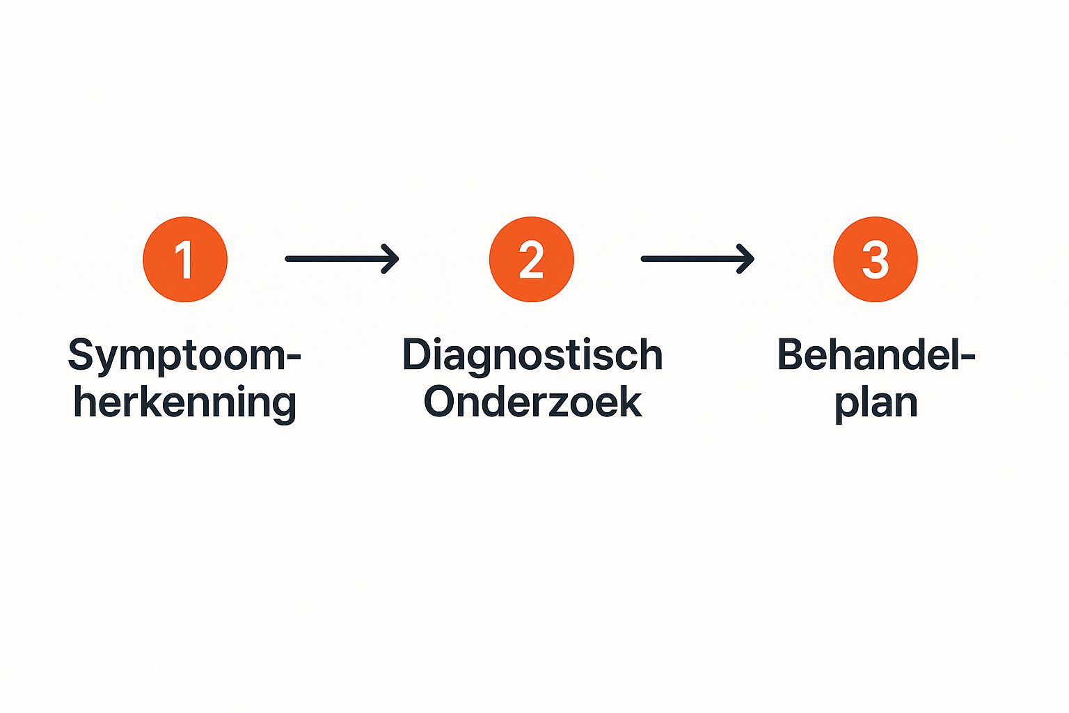 Een diagram dat de stappen van diagnose naar behandeling toont