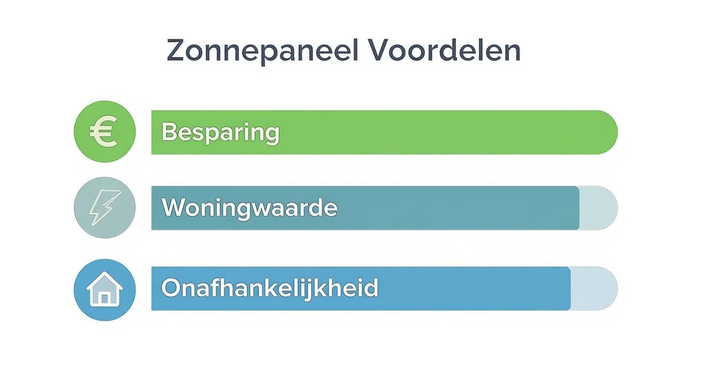 Infographic about zonnepanelen naarden