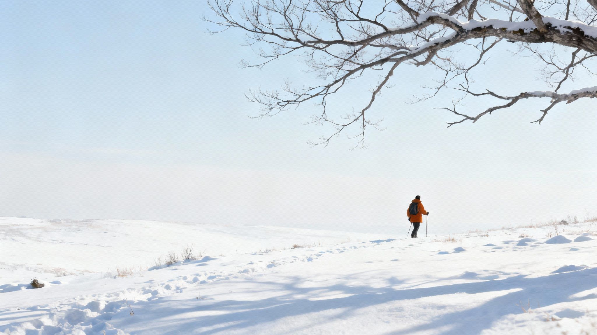 Een persoon wandelt in een besneeuwd landschap onder de takken van een boom op een heldere winterdag.